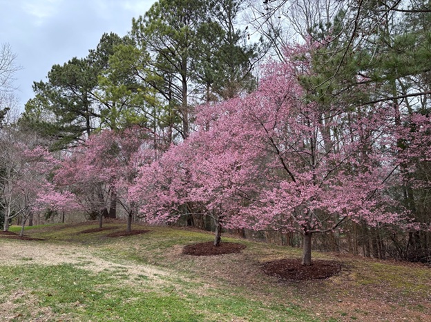 Bringing People and Nature Together: The Williamsburg Landing Arboretum Team Bringing People and Nature Together: The Williamsburg Landing Arboretum Team
